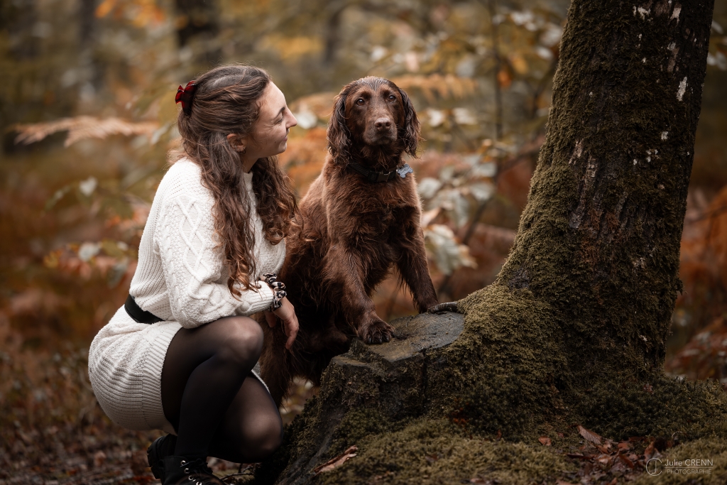 Chien attentif pendant une séance